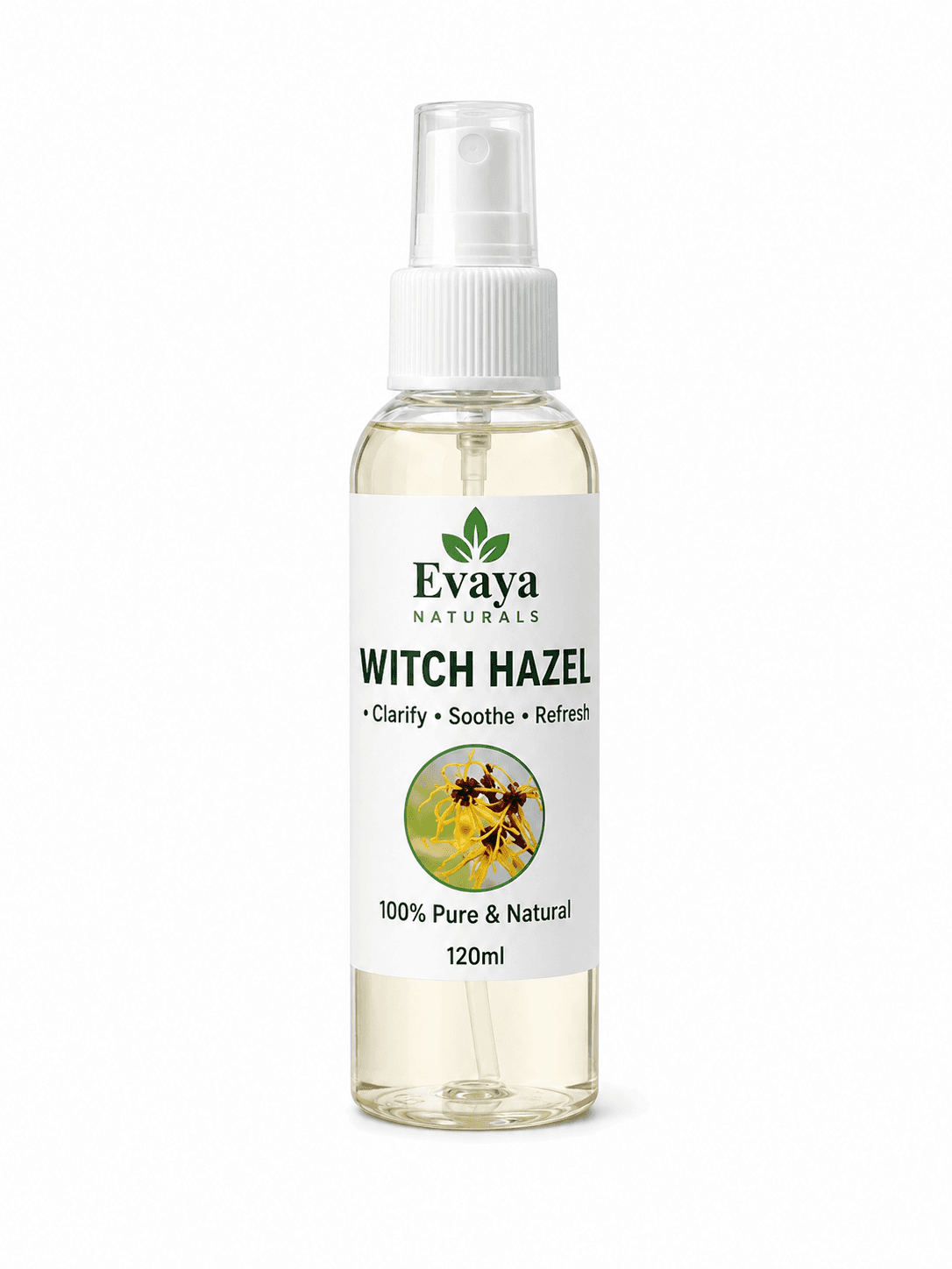 Witch Hazel