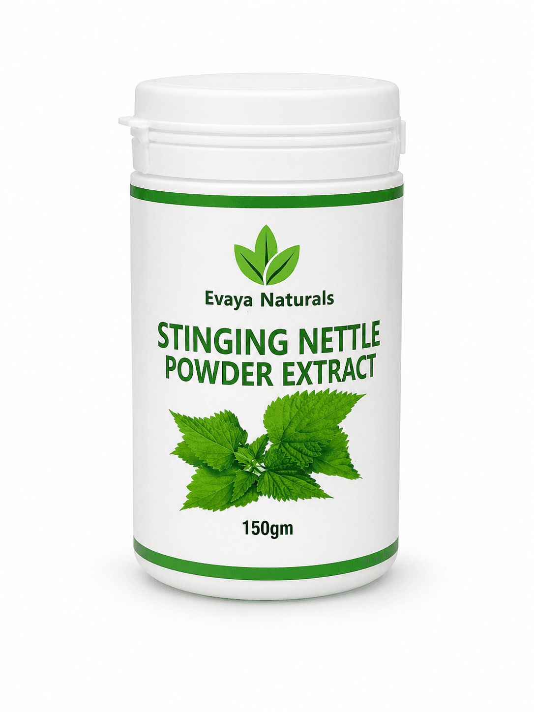Stinging Nettle Powder Extract