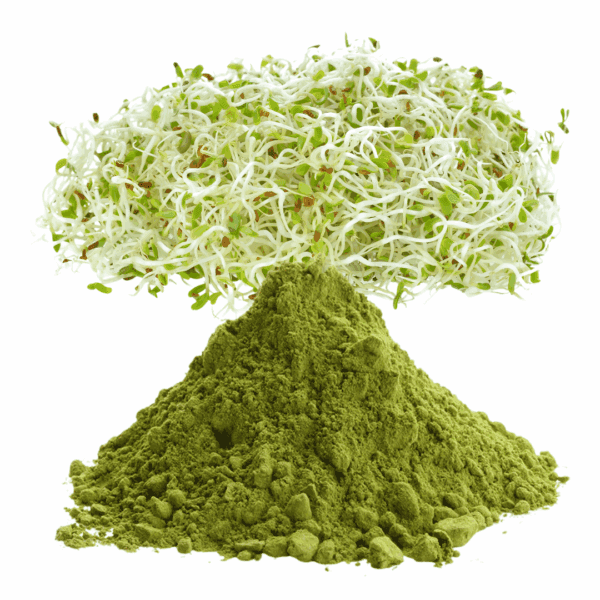 Herbal Powders