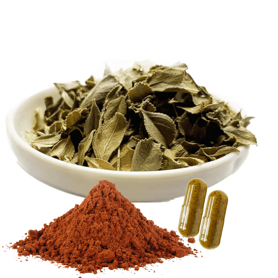 Buchu Leaf