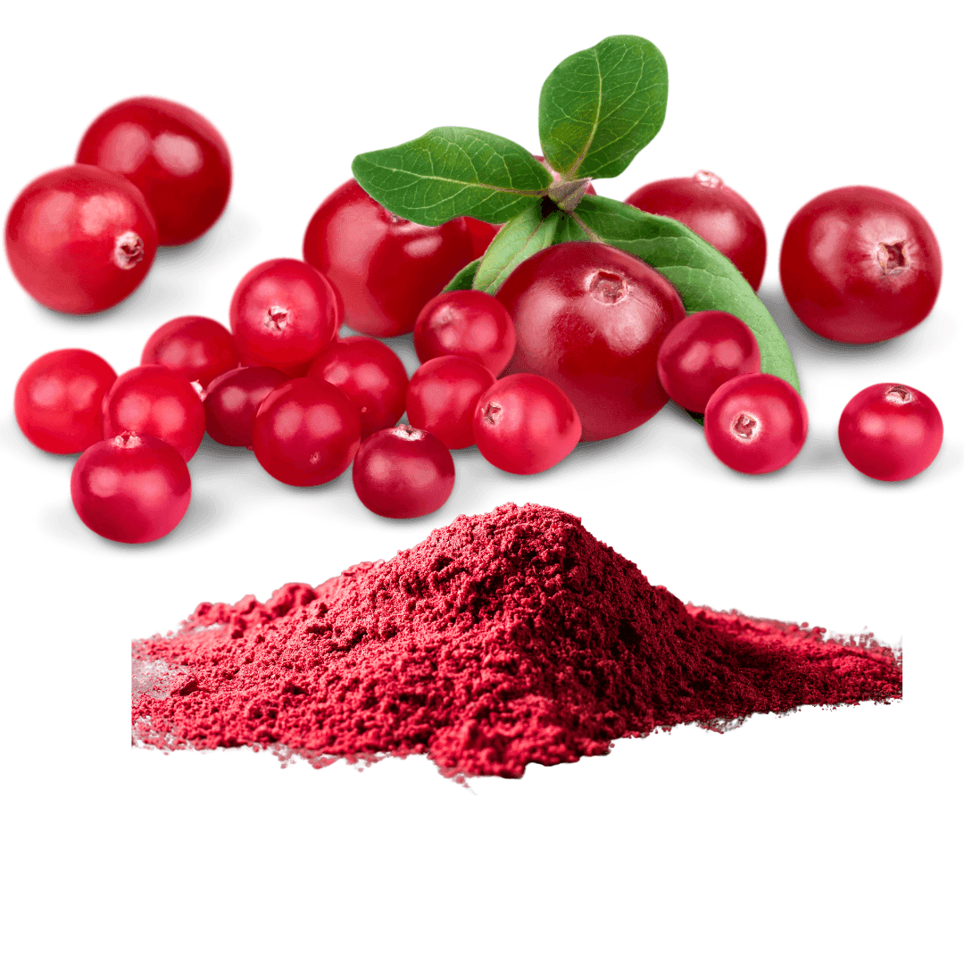 Cranberry Powder