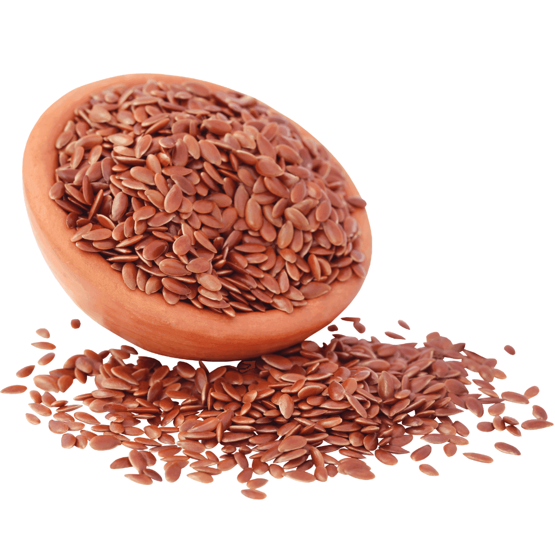 Flax Seeds