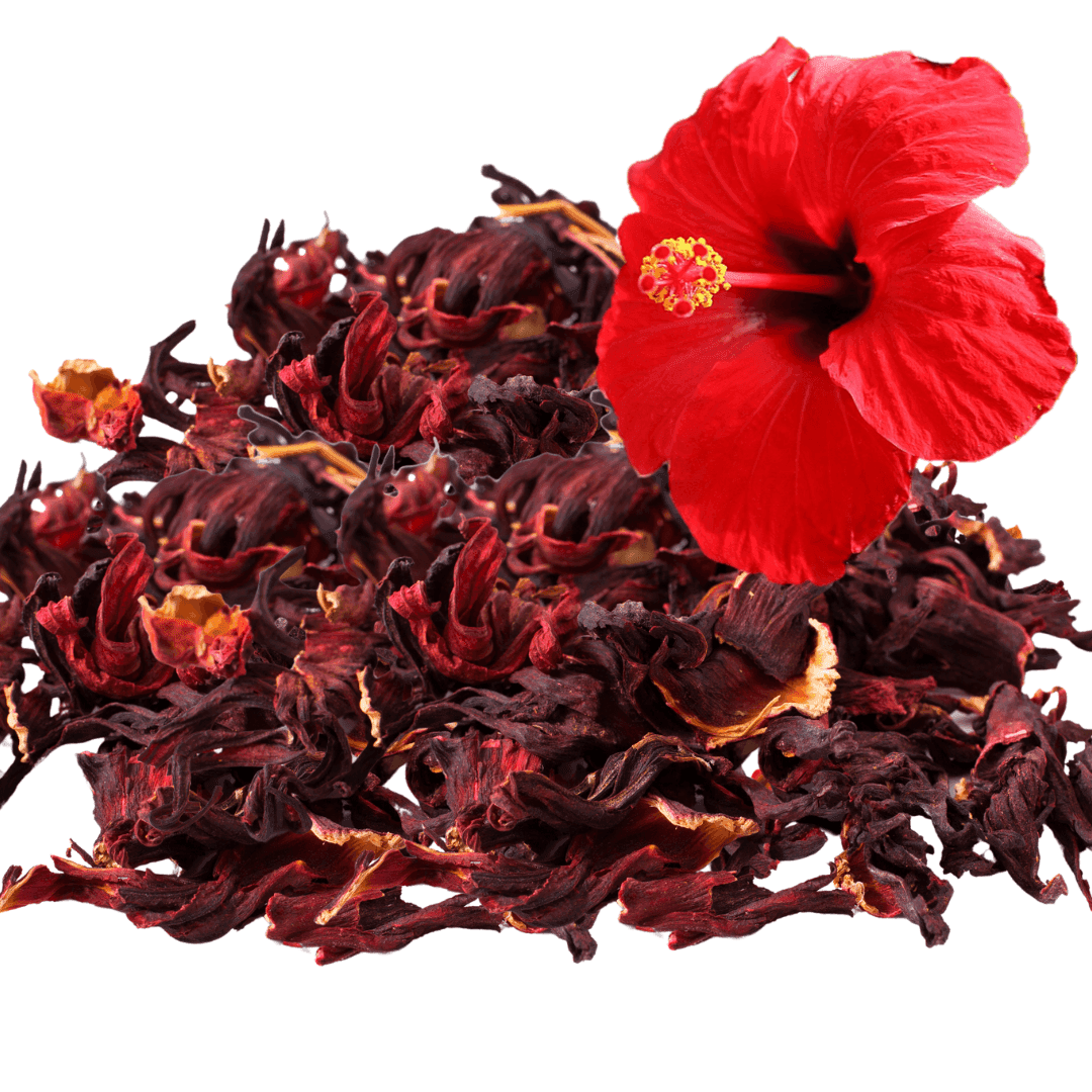 Hibiscus