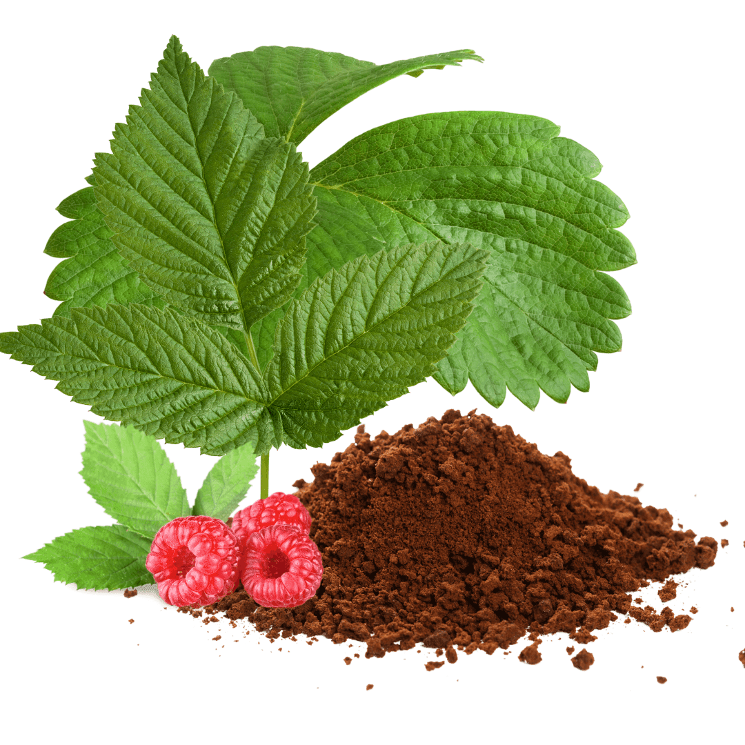 Red Raspberry Leaf