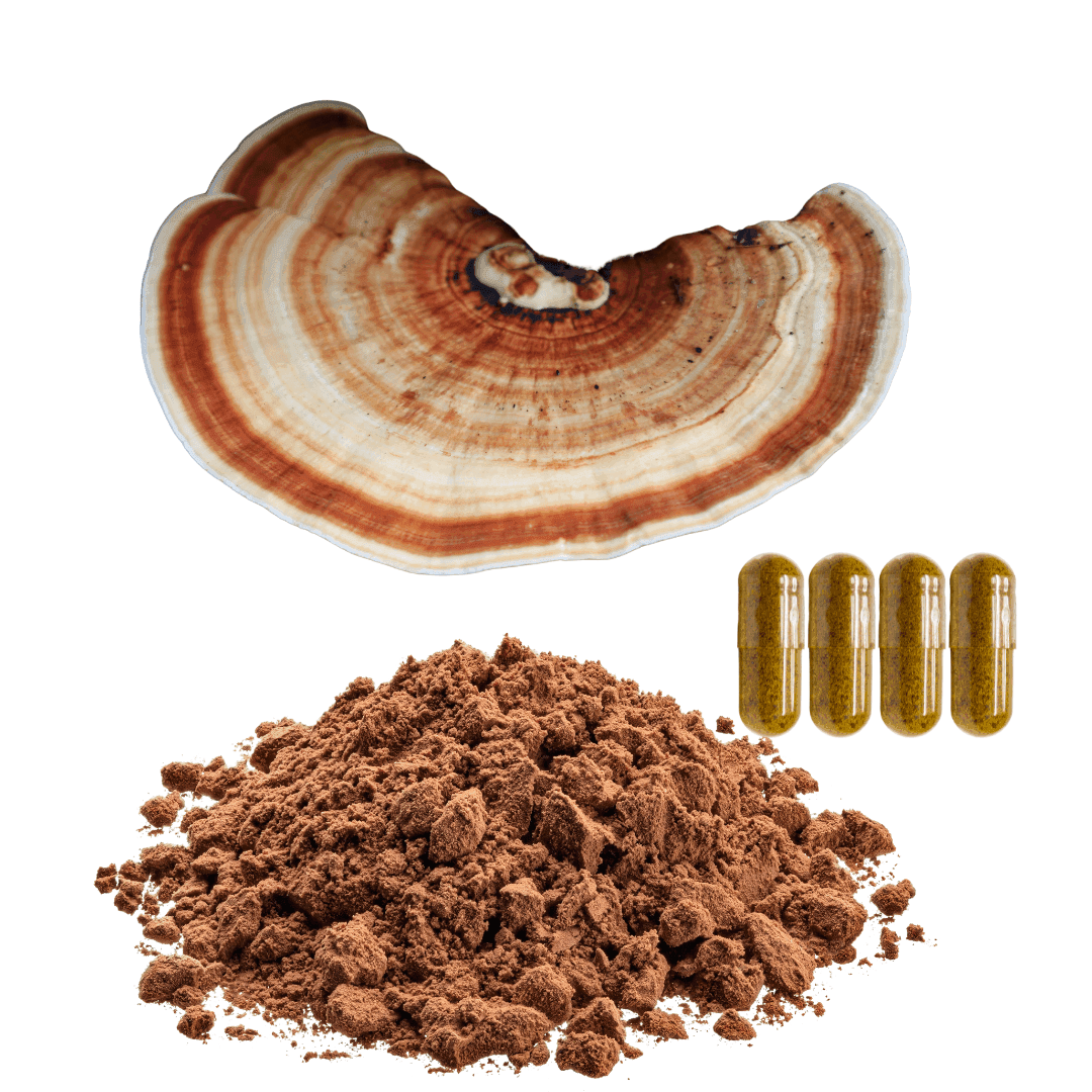 Turkey Tail